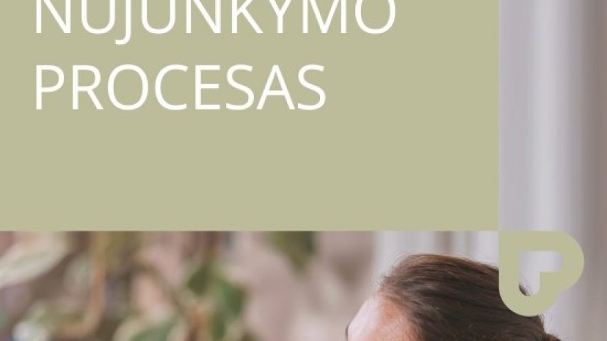 Web seminaras &#8221;Nujunkymo procesas&#8221;