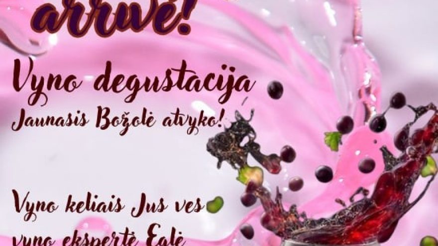 Jaunasis Božolė atvyko! Le Beaujolais nouveau est arrivé! | Vyno degustacija