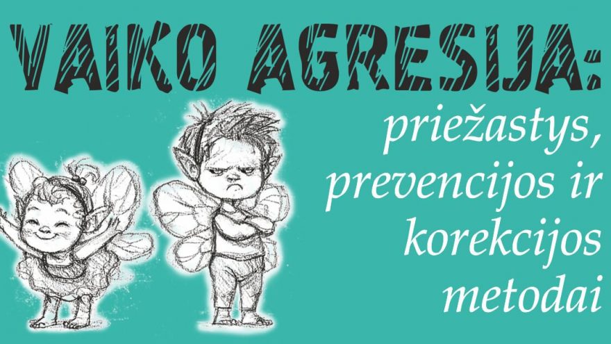 Vaiko agresija: priežastys, prevencijos ir korekcijos metodai