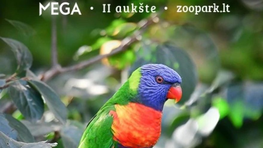 Apsilankyk edukaciniame zoologijos sode ZOOPARK.LT