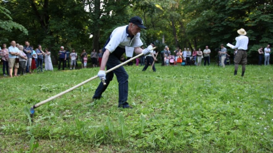 Antrosios šienavimo varžytuvės Verkiuose