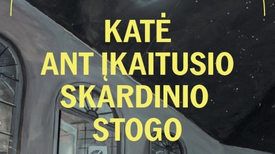 VMT Premjera | KATĖ ANT ĮKAITUSIO SKARDINIO STOGO rež. Ch. Weise, pjesės aut. T.Williams