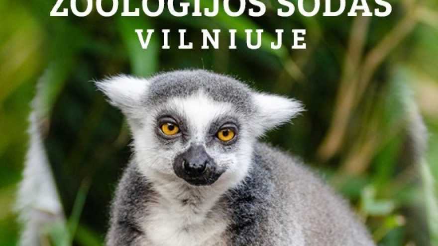 Apsilankyk pirmajame Vilniuje zoologijos sode ZOOPARK.LT | VILNIUS