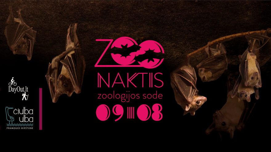 ZooNaktis