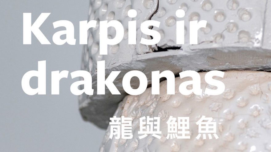 Mindaugas Navakas personalinė paroda Karpis ir drakonas (鲤鱼与龙)