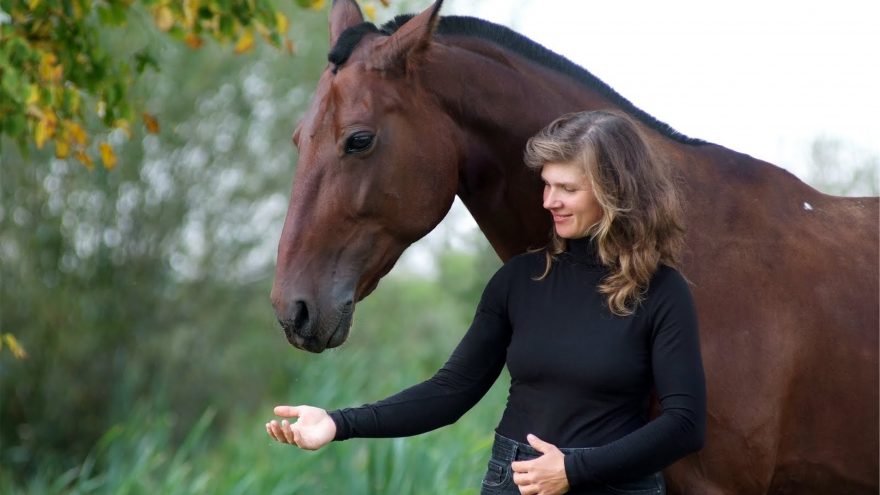 Žirgo nuoma fotosesijai žirgyne