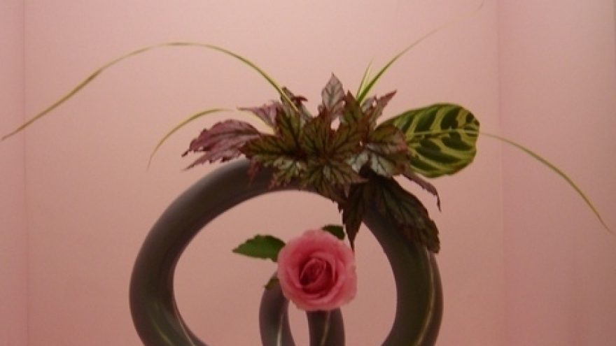 Žmogaus ir gėlės pašnekesys &#8211; ikebana